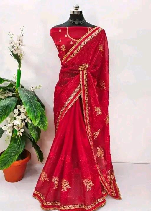 BOLLYWOOD STYLE JIMMY CHOO SAREE
