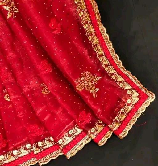 BOLLYWOOD STYLE JIMMY CHOO SAREE