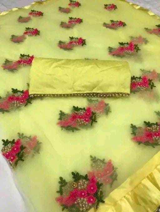 EMBOIDERY WORK NET SAREE