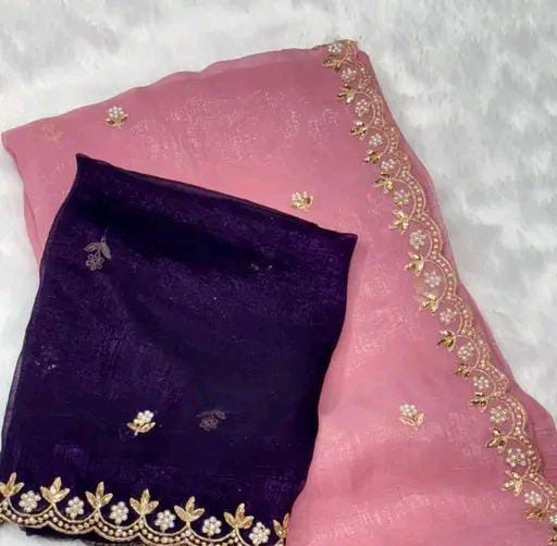 BOLLYWOOD STYLE JIMMY CHOO ORGANZA SAREE