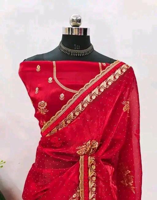 BOLLYWOOD STYLE JIMMY CHOO SAREE