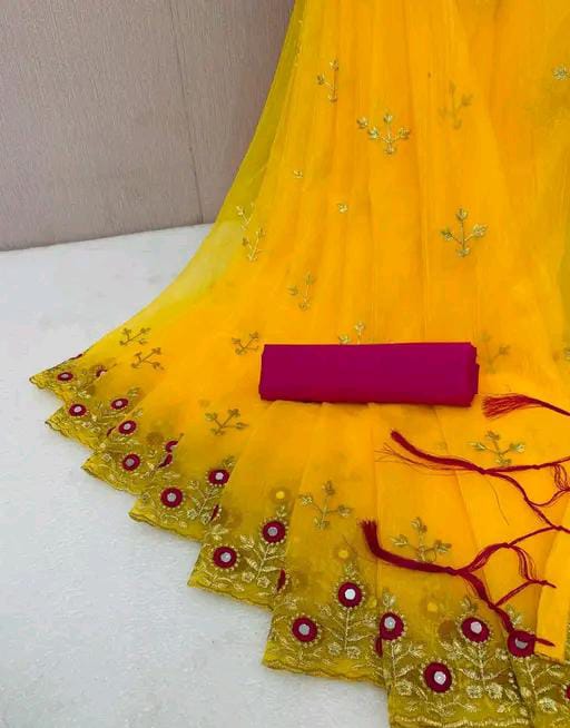 EMBROIDERY MIRROR WORK NET SAREE