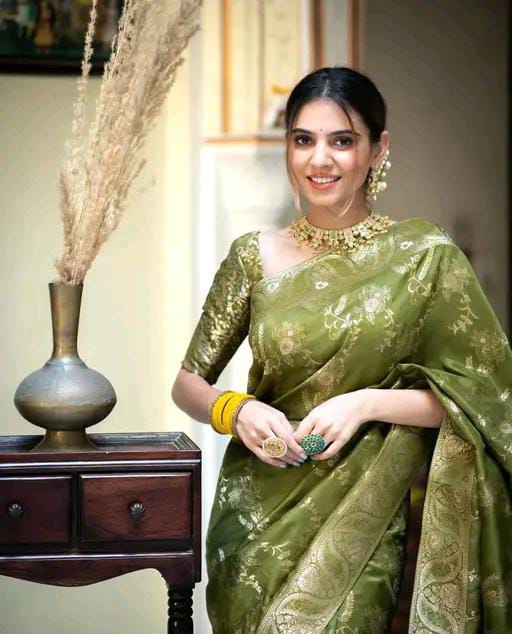 NEW FANCY BANARSI SAREE